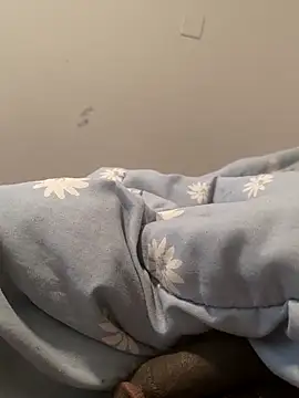 bigbuufuu online show from 6, 11, 2025