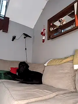 Snapshot of mattiethebaddieee chatting on 30, 11, 2025 mattiethebaddieee online show from 30, 11, 2025