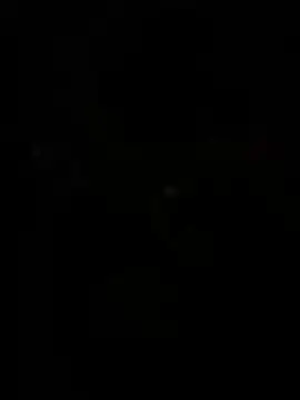 Snapshot of WildNour chatting on 13, 4, 2026 WildNour online show from 13, 4, 2026