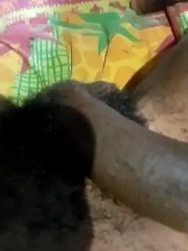 liketosex4 online show from 17, 2, 2026