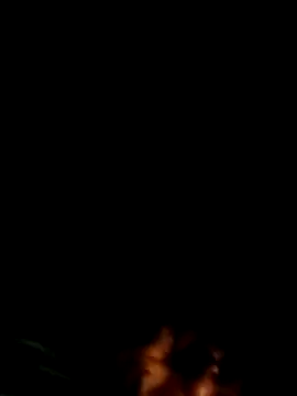 bella-la online show from 20, 11, 2025