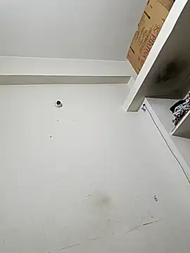 bigtelugubhama online show from 14, 12, 2025