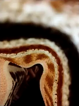 Snapshot of Nightrider1203 chatting on 8, 11, 2025 Nightrider1203 online show from 8, 11, 2025