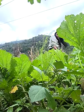 heodat-sexx online show from 17, 12, 2025