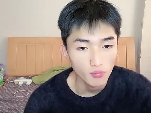 N228 online show from 24, 11, 2025