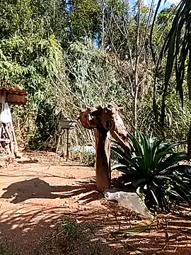 matbiec- online show from 22, 12, 2025