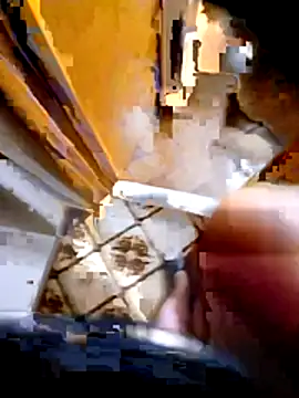 pino870 online show from 3, 2, 2026