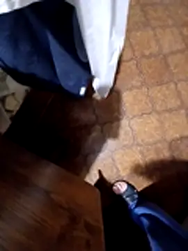 pino870 online show from 23, 3, 2026