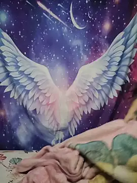 CurvyNoir online show from 8, 4, 2026