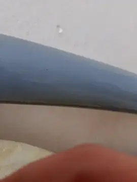 Snapshot of Brigitta886 chatting on 1, 11, 2025 Brigitta886 online show from 1, 11, 2025