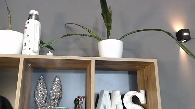 Snapshot of mickystrumia23 chatting on 6, 1, 2026 mickystrumia23 online show from 6, 1, 2026