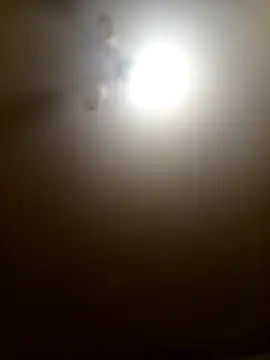 Snapshot of Niesmialyy chatting on 16, 2, 2026 Niesmialyy online show from 16, 2, 2026