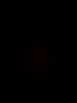 kobzzlad online show from 2, 11, 2025