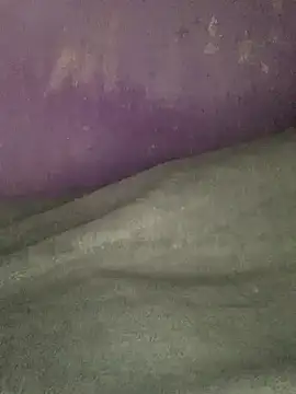 hotman29 online show from 17, 1, 2026