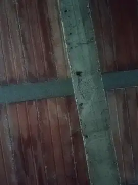 Snapshot of Megan2026 chatting on 19, 2, 2026 Megan2026 online show from 19, 2, 2026