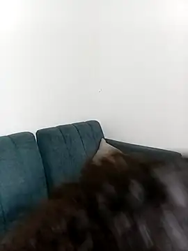 Ari 1217 online show from 16, 12, 2025