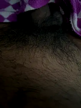 playboyoftelugu online show from 11, 11, 2025