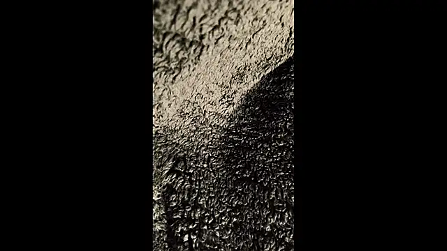 thewarmbear online show from 3, 11, 2025