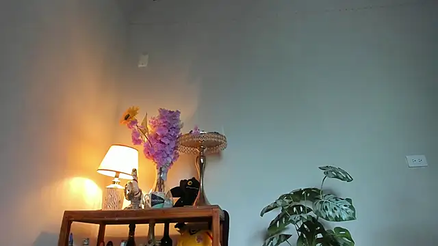 lucian davii online show from 14, 5, 2026