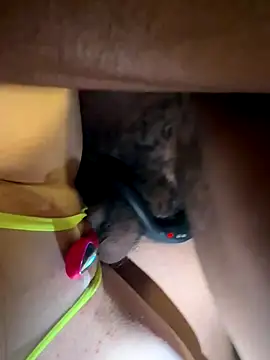 secretknight Mrmask online show from 22, 11, 2025