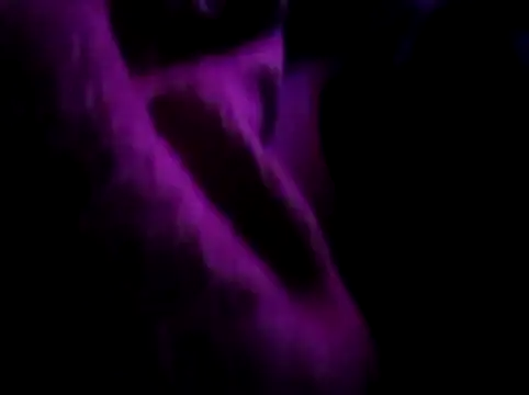 akram306 online show from 14, 11, 2025