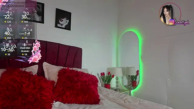 Snapshot of Scarlett_Jank chatting on 25, 2, 2026 Scarlett Jank online show from 25, 2, 2026