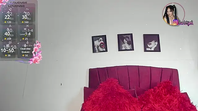 Snapshot of Scarlett_Jank chatting on 26, 2, 2026 Scarlett Jank online show from 26, 2, 2026