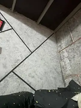 Dilen 7533 online show from 12, 3, 2026