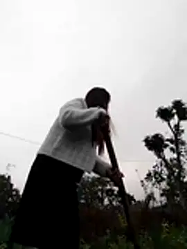 Qoine392 online show from 20, 12, 2025