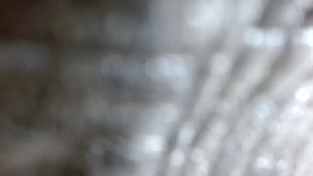 the breasts of desir  online show from 24, 11, 2025