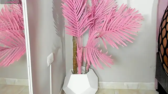 Tamaramilleer online show from 2, 2, 2026