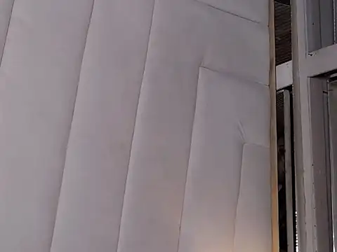 Snapshot of LannyShell chatting on 13, 1, 2026 LannyShell online show from 13, 1, 2026