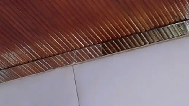 Snapshot of LannyShell chatting on 26, 2, 2026 LannyShell online show from 26, 2, 2026