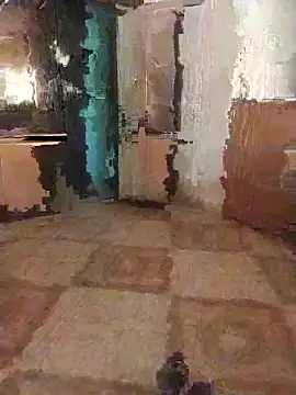 Snapshot of 7obi_7obi chatting on 21, 11, 2025 7obi 7obi online show from 21, 11, 2025