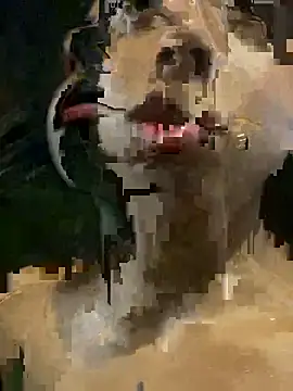 mara rosseX online show from 9, 11, 2025