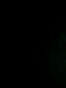 NIGHTFOX-89 online show from 8, 11, 2025