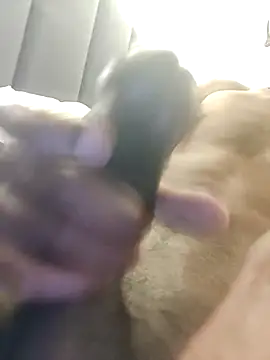 Hyderabad003 online show from 9, 11, 2025