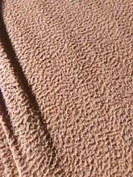 WillfulVideo online show from 7, 2, 2026