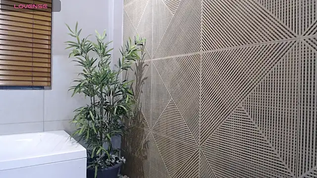 Noah dupont  online show from 18, 12, 2025