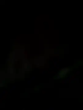 ankitakum8789 online show from 8, 1, 2026