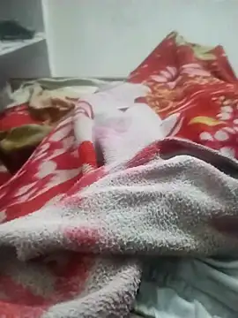 hyderabad single online show from 23, 11, 2025