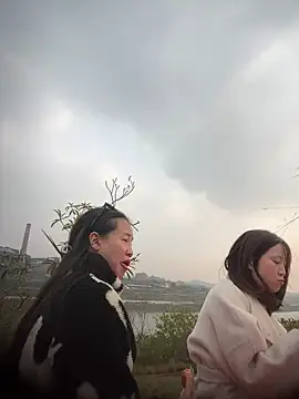 tiantiandao online show from 1, 12, 2025