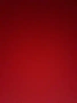 Kinkycouple142 online show from 3, 5, 2026