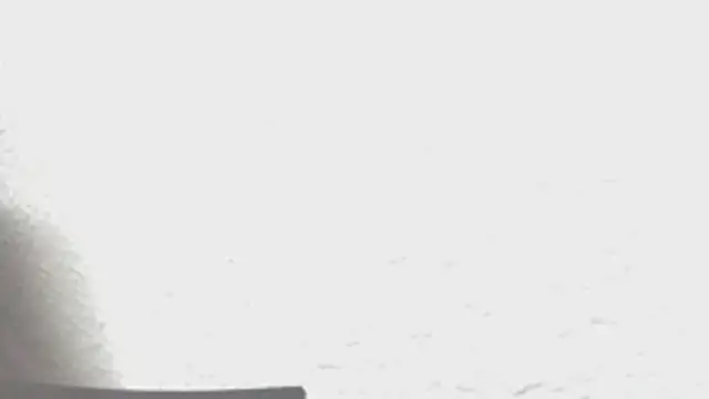 Calavera2001 online show from 16, 12, 2025