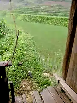 Snapshot of Cloud-wh chatting on 8, 4, 2026 Cloud-wh online show from 8, 4, 2026