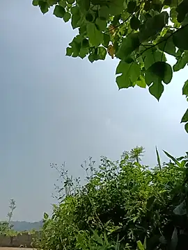 vangkt-cute online show from 16, 5, 2026