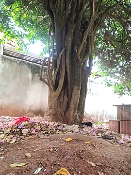 Snapshot of Lucasjandre chatting on 22, 11, 2025 Lucasjandre online show from 22, 11, 2025