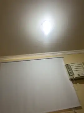 olicaroo online show from 19, 11, 2025