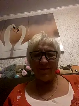 Snapshot of EvaaaSky chatting on 14, 11, 2025 EvaaaSky online show from 14, 11, 2025