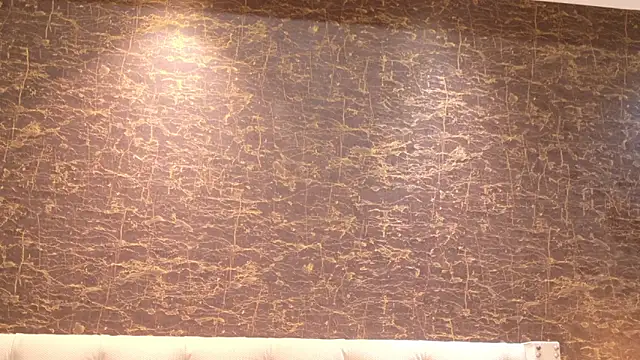 zyrastorm online show from 17, 1, 2026